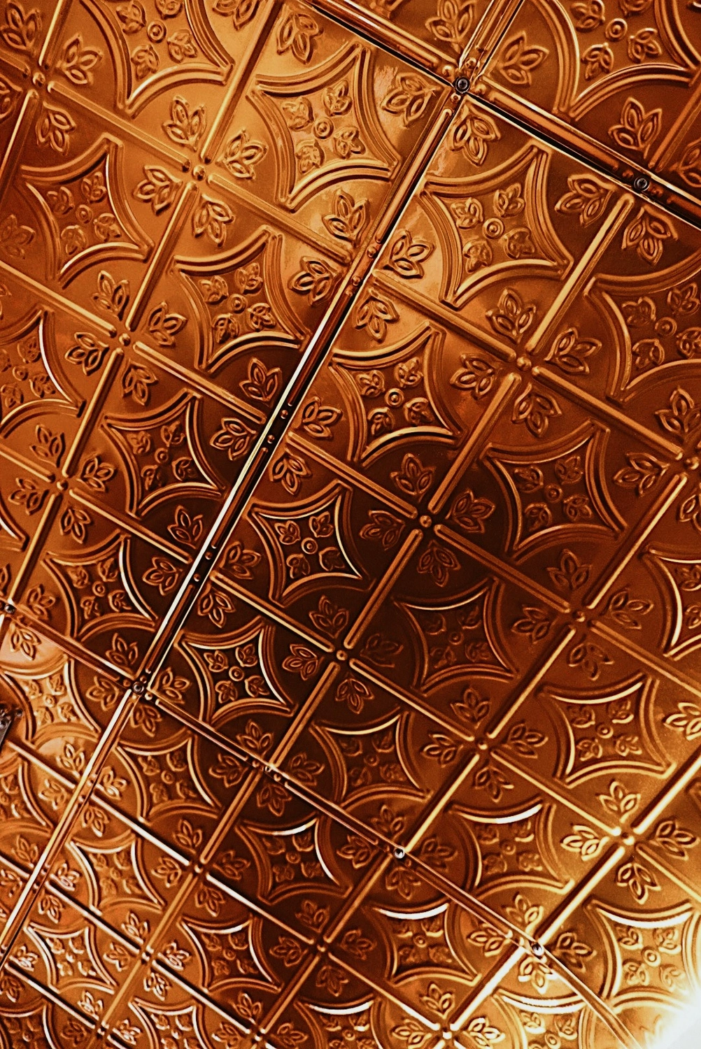 The Copper Lion /assets/copper-ceiling-l3G387eQ